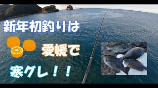 #62 【愛媛県西予市下泊】 宇和の海から謹賀新年！一発目のターゲットは青い瞳の旨いヤツ！