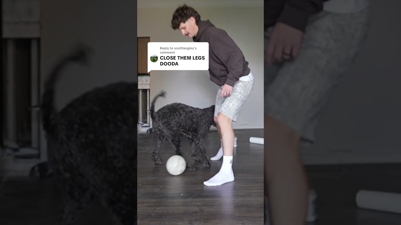 Imagine what more we could in after turning this area into turf 😮‍💨 . 