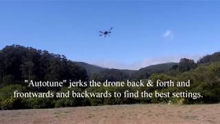 Tarot Iron Man 650.  First Flight With a Pixhawk PX4 FC