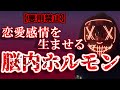【悪用厳禁】恋に落ちてしまう"脳内ホルモン"を操る方法【恋愛心理・脳科学】