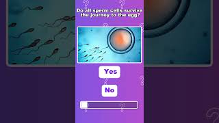 🧬 Do You Know Everything About Sperm Cells🤯 ?