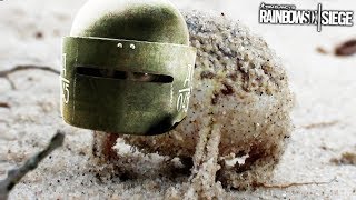 Angry squeaking Rainbow Six Siege operators