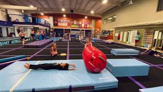 Level 2 Gymnastics Vault Stations