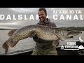 Return to the dalsland canal  a giant pike expedition