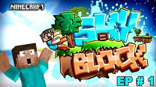2 Idiots Play Minecraft Skyblock