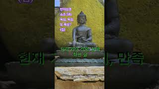 반야심경 5회: 욕심, 또 욕심? (집)  #마음공부  #불교경전  #욕심 #성장 #극복 #불교 #인생 #힘내 #위로 #긍정 #명상 #부처님말씀 #자기수행 #붓다의가르침