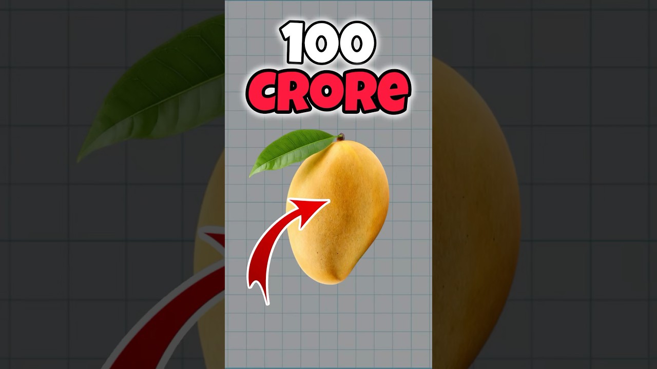 Ambani Mango Farm🥭