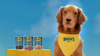 Duke the Star :15 Quality | Bush's Beans