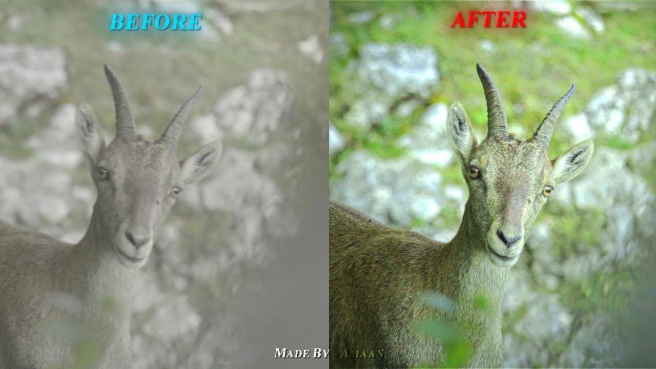 Color Grading