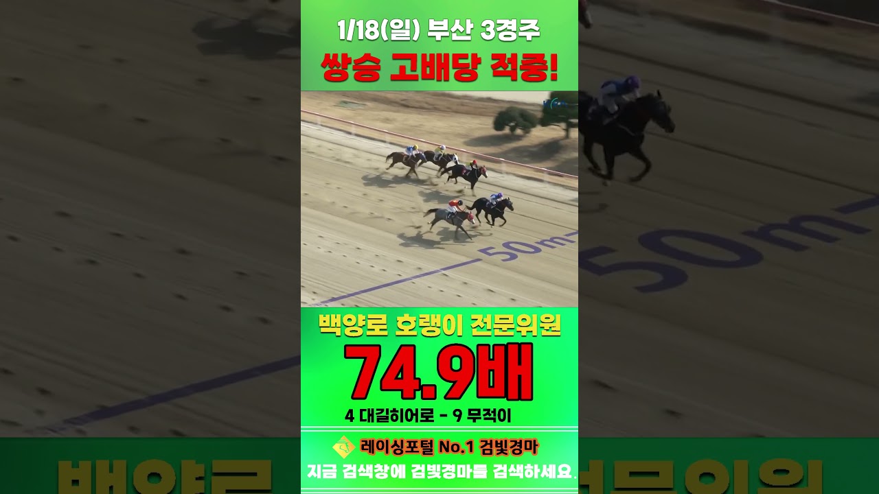 [부산 경마] 1월 18일 일요 3경주 백양로 호랭이 전문위원 쌍승 고배당 적중 #하이라이트 #automobile #경마 #horse #한국마사회 #게임