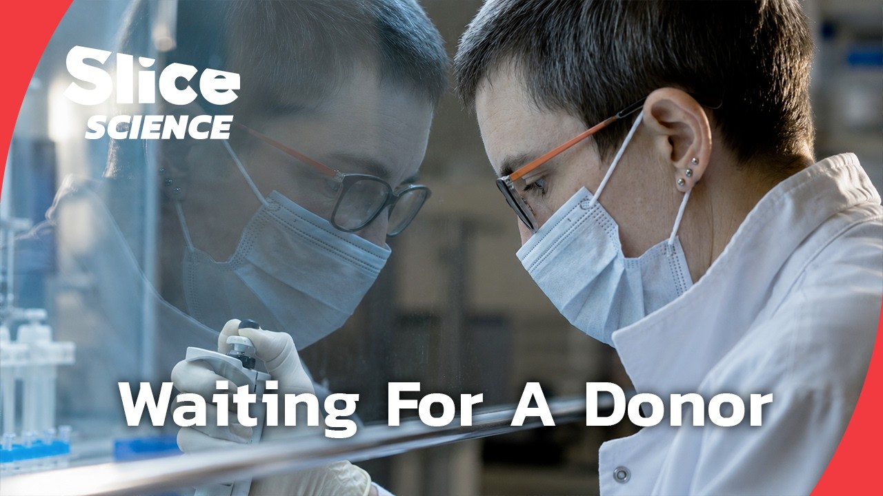 Inside The Science Of Pig-To-Human Heart Transplants | SLICE SCIENCE | FULL DOC