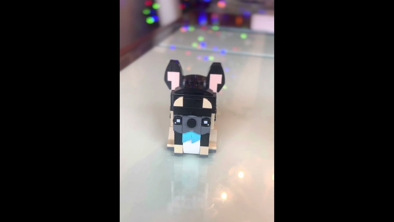 Lego Building: BrickHeadz Pets Edition 