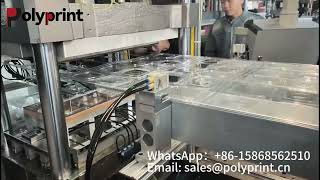 3 station clamshell box making machine 5 cavities