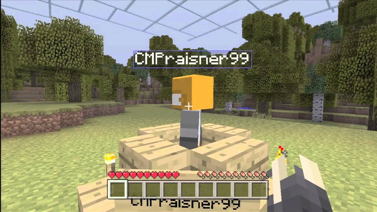 Minecraft: The Hunger Games #2 Trailer