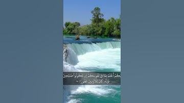 سورة الإسراء 24 – 25                                                          اكتب شيء تؤجر عليه 🌹