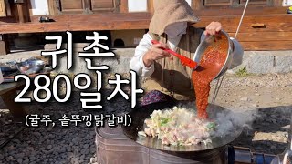 시골일상🍊먹다 남은 귤로 귤주 만들고, 솥뚜껑에 닭갈비 구워 먹는 귀촌 일상