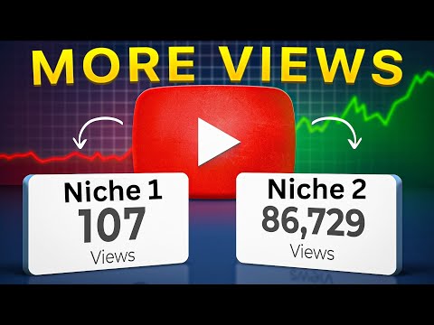 vidIQ: Which Niche SHOULD You Choose?