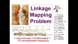 Unit 13B A Mapping Problem