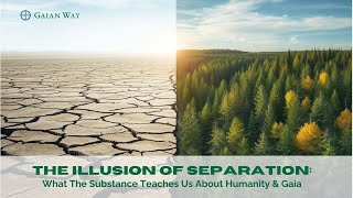 Celebrity The Substance & Humanity’s Illusion of Separation | Gaian Reflection Profile