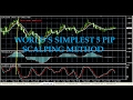 Can 5 Pips A Day Really Make You Money In FOREX? - YouTube