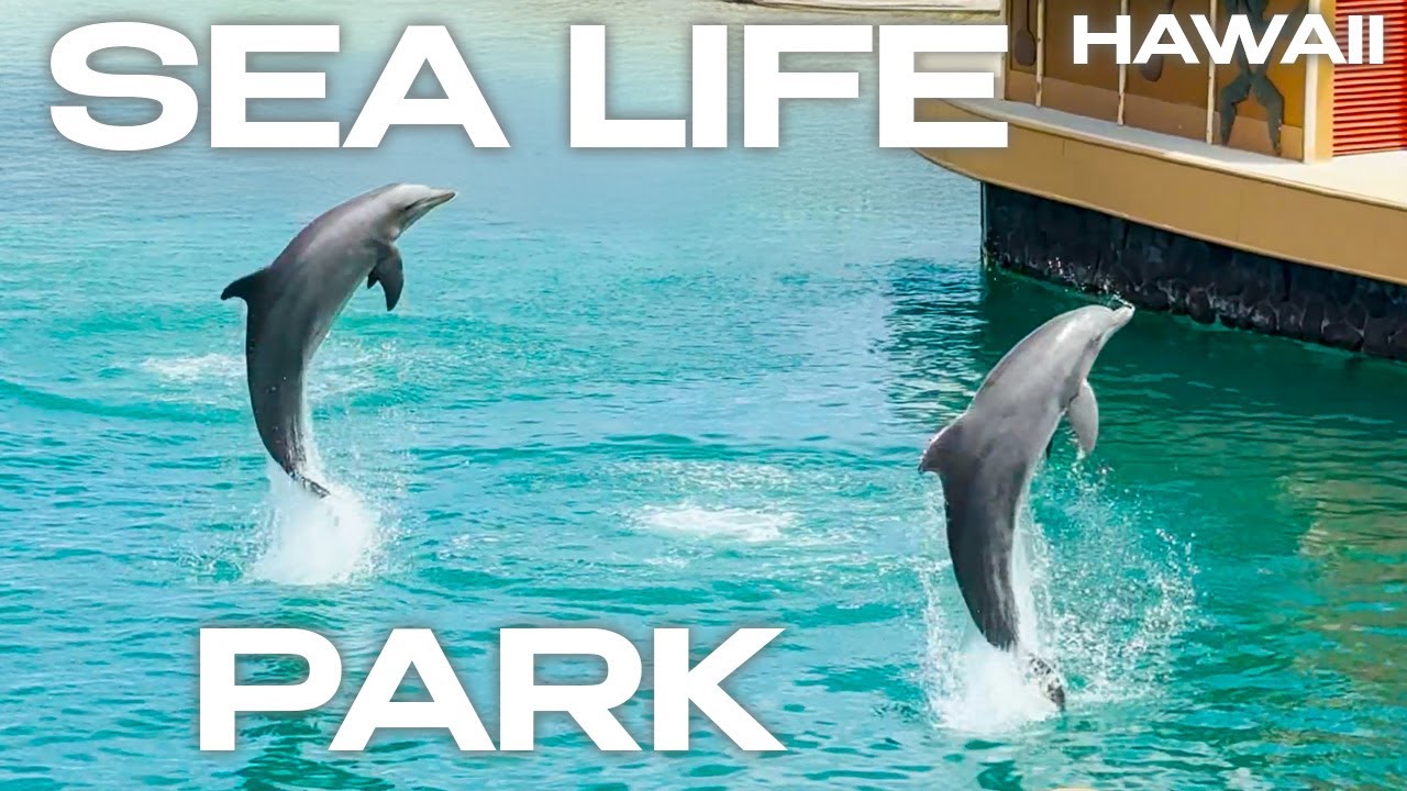 Sea Life Park - Oahu Hawaii