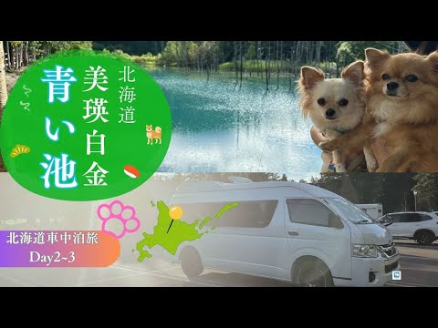【美瑛・青い池】犬連れ 北海道 キャンピングカー車中泊旅がついにスタート!でもさっそく北の大地の洗礼を受ける!?「北海道 車中泊旅 Day2~3」#キャンピングカー #車中泊 #トイファクトリー