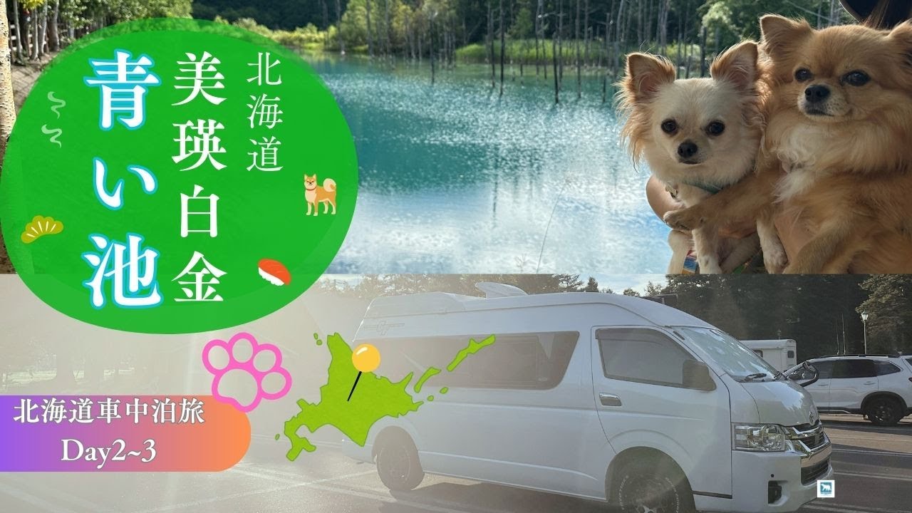 【美瑛・青い池】犬連れ 北海道 キャンピングカー車中泊旅がついにスタート！でもさっそく北の大地の洗礼を受ける！？「北海道 車中泊旅 Day2~3」#キャンピングカー #車中泊 #トイファクトリー