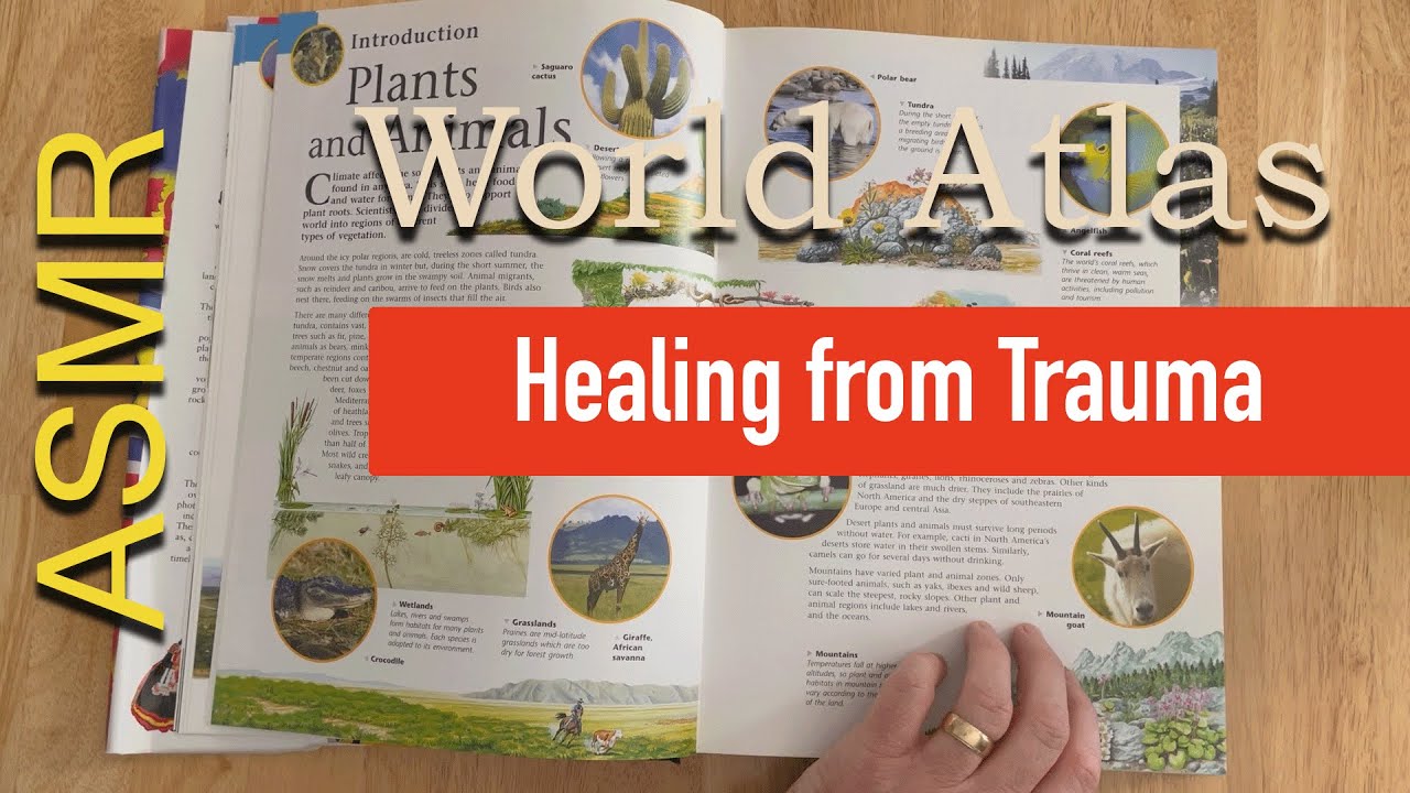 🗺 Flipping pages, world atlas, healing ramble - soft-spoken relaxing ASMR lofi