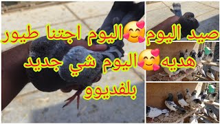 صيد اليوم🥰اليوم الفديوو بيه شي جديد انتظرونا🥰اجتنا طيور هديه وبيهن طير مااعرف نوعه🥰@