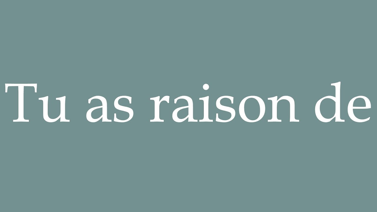 How to Pronounce ''Tu as raison de'' (You're right) Correctly in French