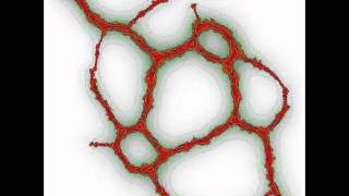 ngi_longcells_big.avi