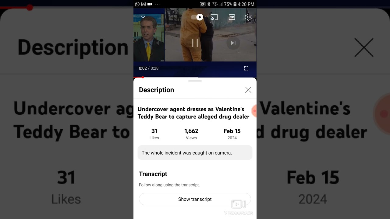 Undercover Agent Dressed as Valentine's Teddy Bear to Capture Alleged Drug Dealer