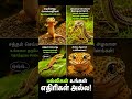 Tnpsc#animals 💯 #Repost #tnpsc #tnpscstudies #tnpscexam