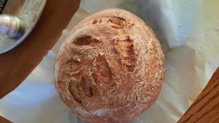 Easy Gluten Free Sourdough Artisan Loaf