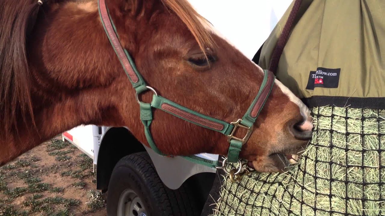 Hanging Slow Feed Hay Bag New Model