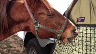 Hanging Slow Feed Hay Bag New Model