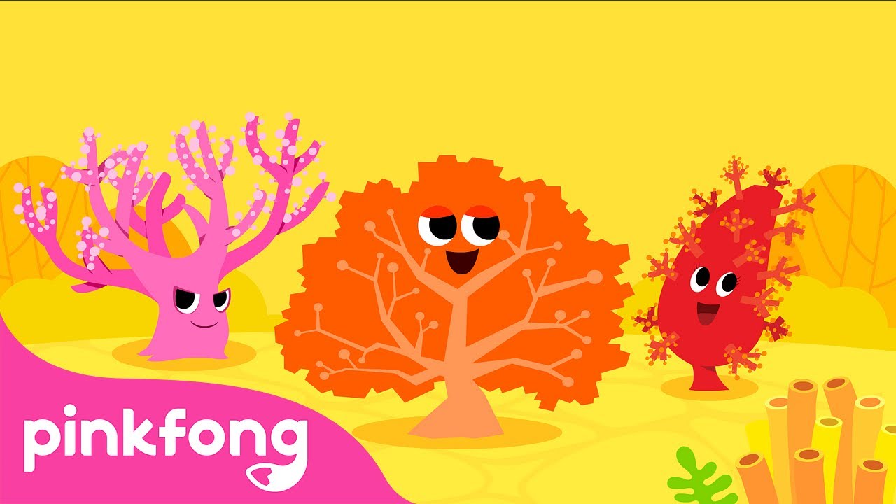 Karang - Aku bukan bunga! | Series Binatang Laut | Lagu Anak pendidikan | Pinkfong \u0026 Baby Shark