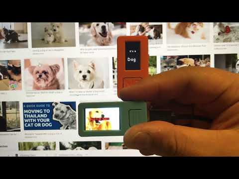image recognition of cats and dogs by M5Stack stickV