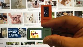 image recognition of cats and dogs by M5Stack stickV