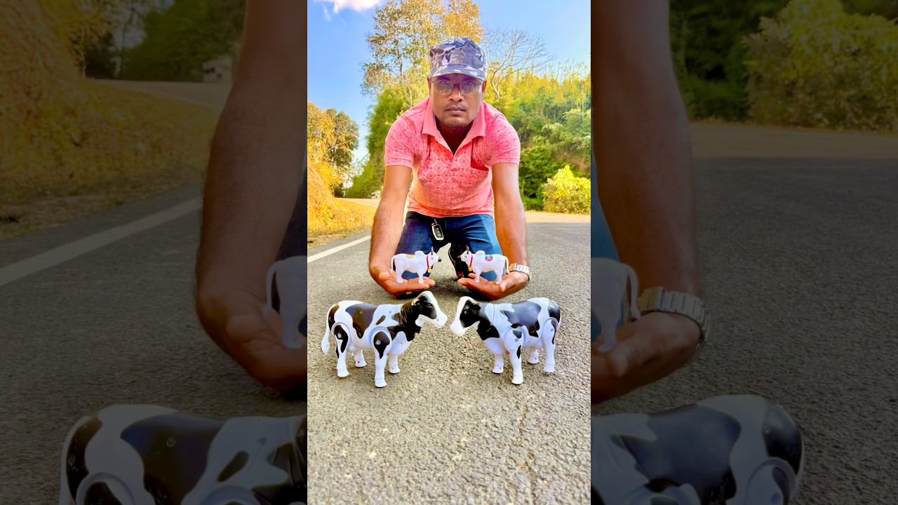 Remote control 2 ta big cow 🐄 & 2 ta baby cow 🐮 Unboxing
