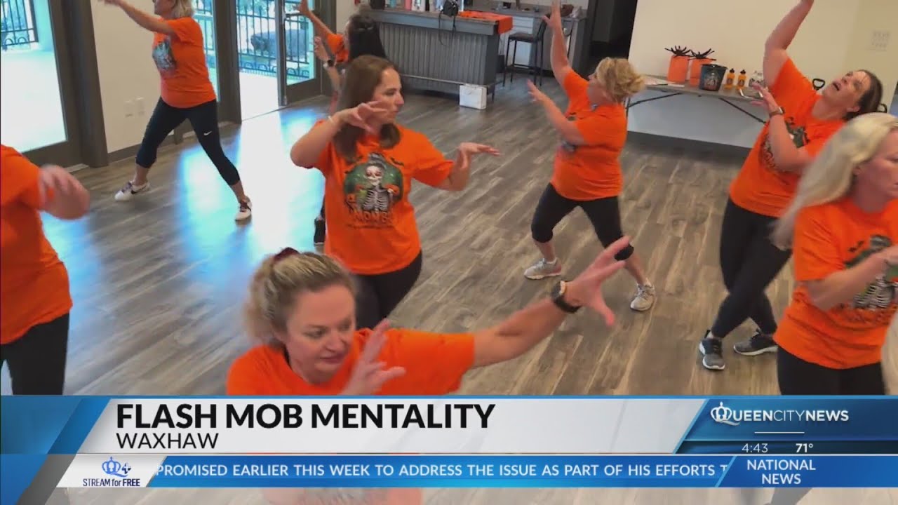 Waxhaw Mombies follow their maternal instinct with community service