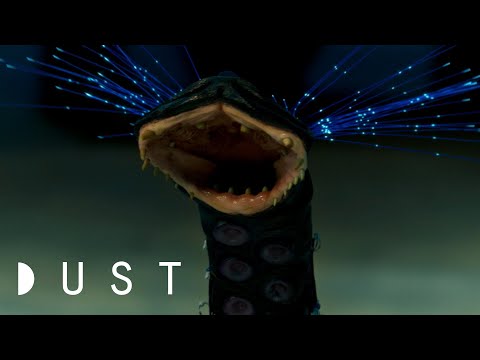 Sci-Fi Short Film “Animal” | DUST