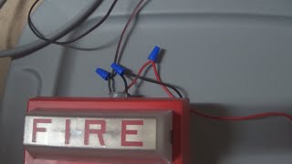 Mini Test 69