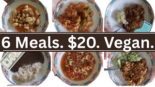 $20 Vegan Meal Challenge at Dollar Tree | 6 Dinners!