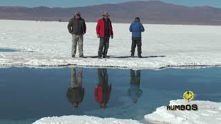 Bloque Puna de Atacama   Generalidades