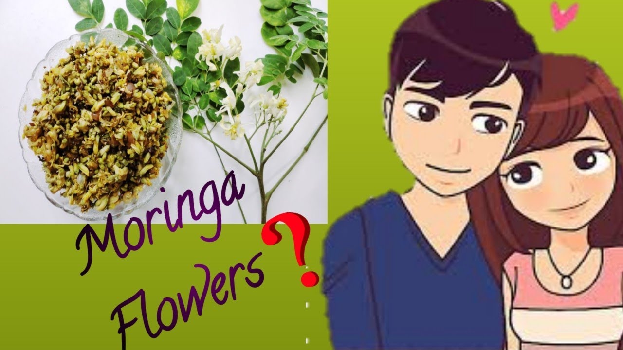 Natural Viagra Moringa Flower Recipe Drumstick Flower Recipe Tamil