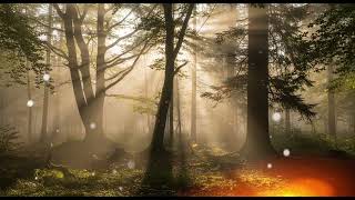 The Intelligence of Trees: How They Learn and Adapt