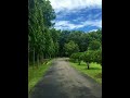 Modhumalati dake ayee Whatsapp Status Video Download Free