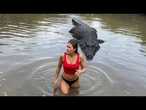Terrifying Crocodile Encounters Caught On Camera