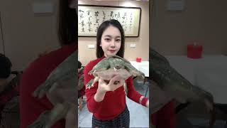 快手MP4 Trending shorts video☀️🤔#shorts #trend